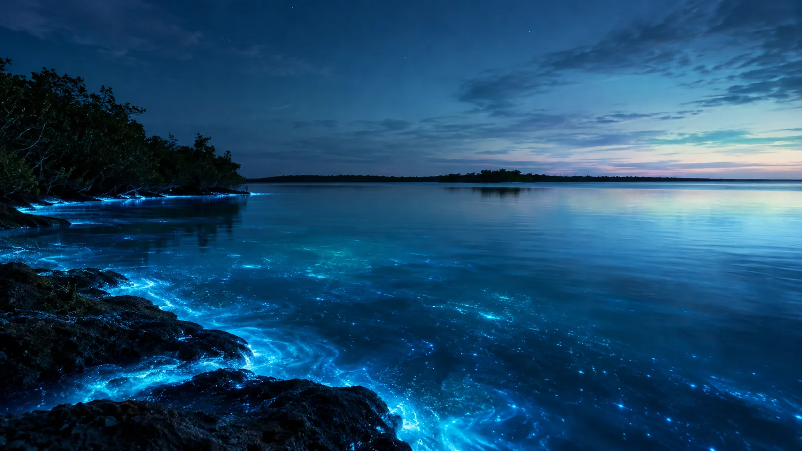 Bahía Bioluminiscente Laguna Grande