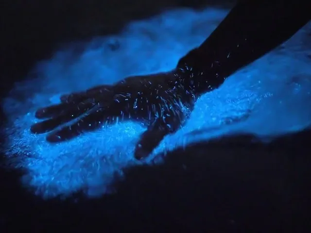 Mano tocando el agua bioluminiscente azul brillante en Laguna Grande.