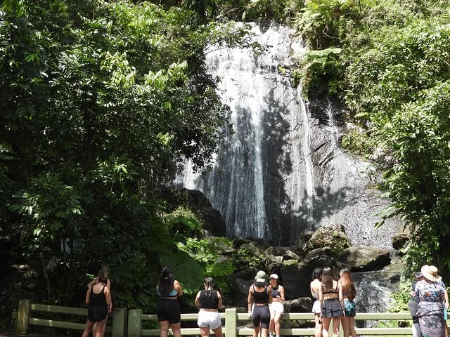 Grupo de personas observando una gran cascada rodeada de vegetación exuberante.