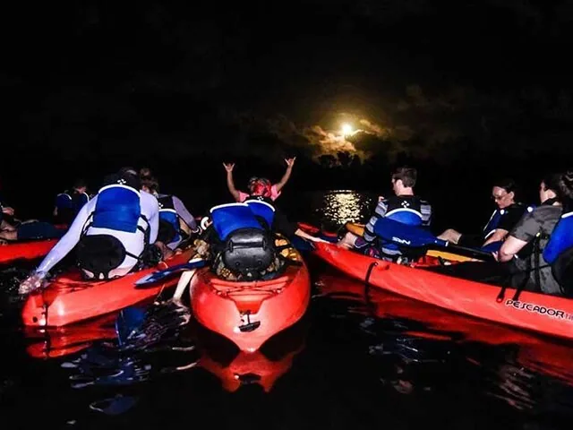Grupo de kayakistas agrupados en el agua por la noche.