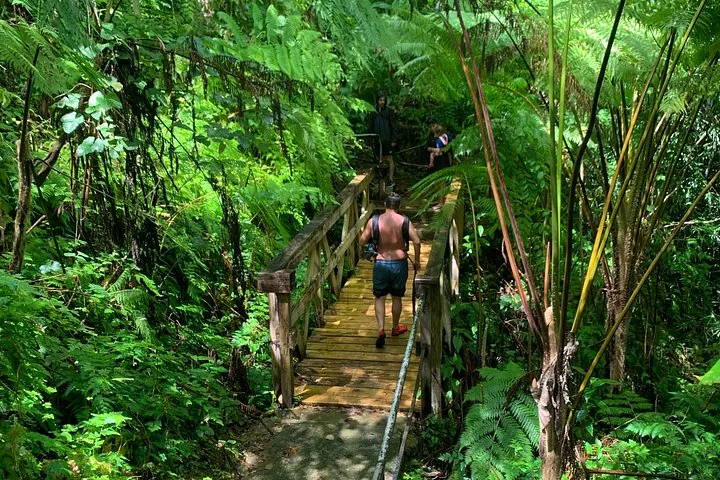 Personen, die in einem dichten Tropenwald über eine Holzbrücke gehen.