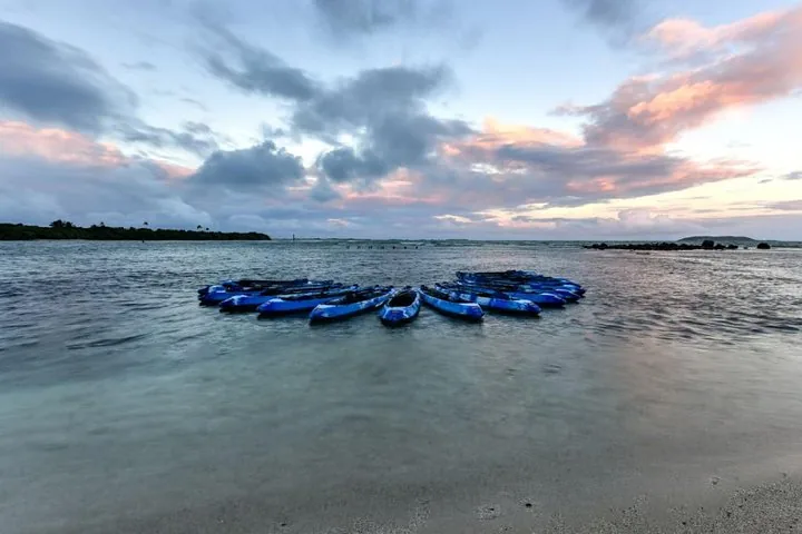 Círculo de kayaks azules flotando en el agua cerca de la orilla.