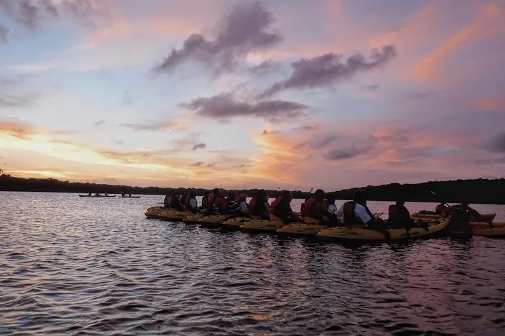 Grupo de kayakistas en un lago durante un atardecer colorido.